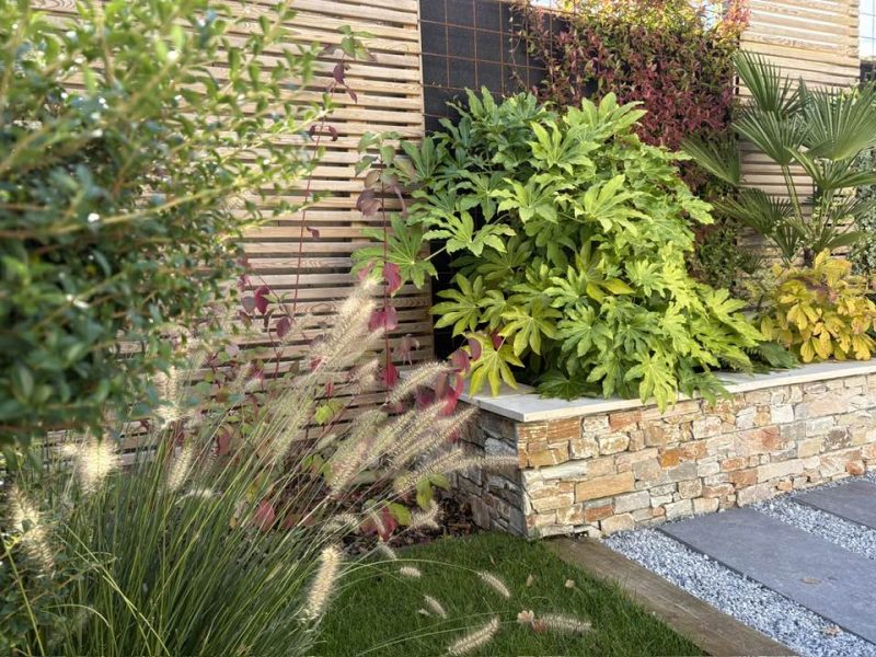 Écran végétal pour cacher un mur de jardin