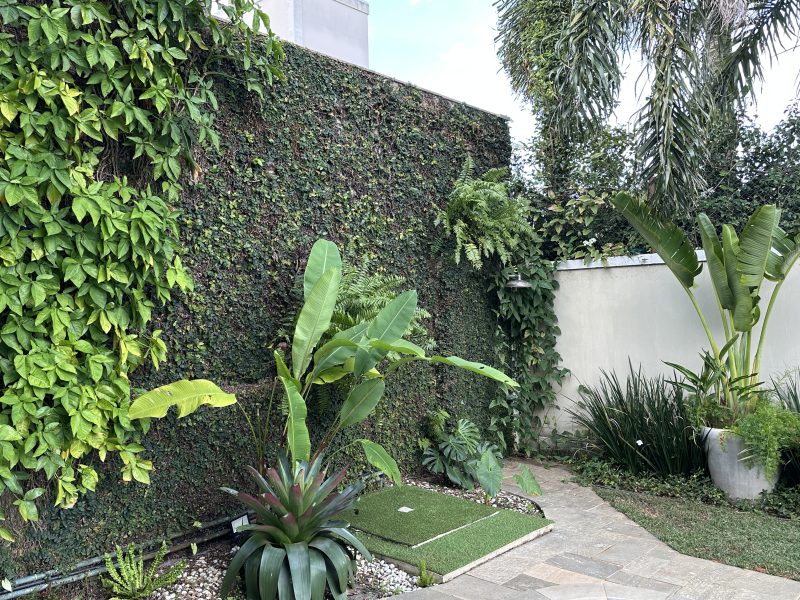 Mur recouvert de plantes grimpantes et végétaux