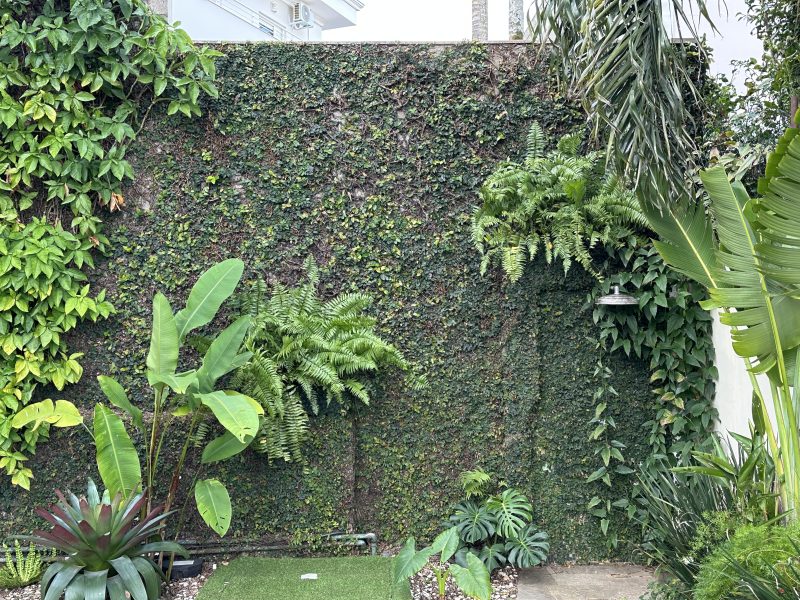 Mur recouvert de plantes grimpantes et végétaux