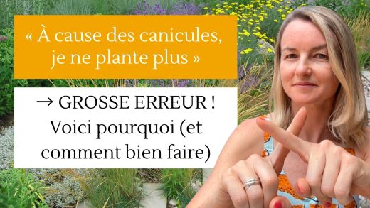 À cause des canicules, je ne plante plus » → GROSSE ERREUR ! Voici pourquoi (et comment bien faire)