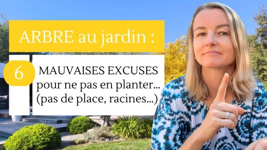 Arbre au jardin : 6 mauvaises excuses pour ne pas planter en planter ... (pas de place, racines...)