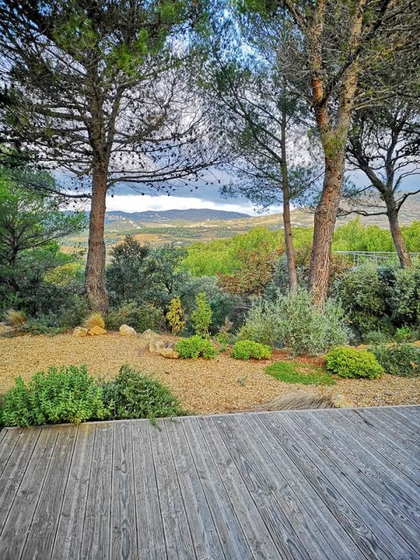 Arbres qui font de l'ombre dans le jardin