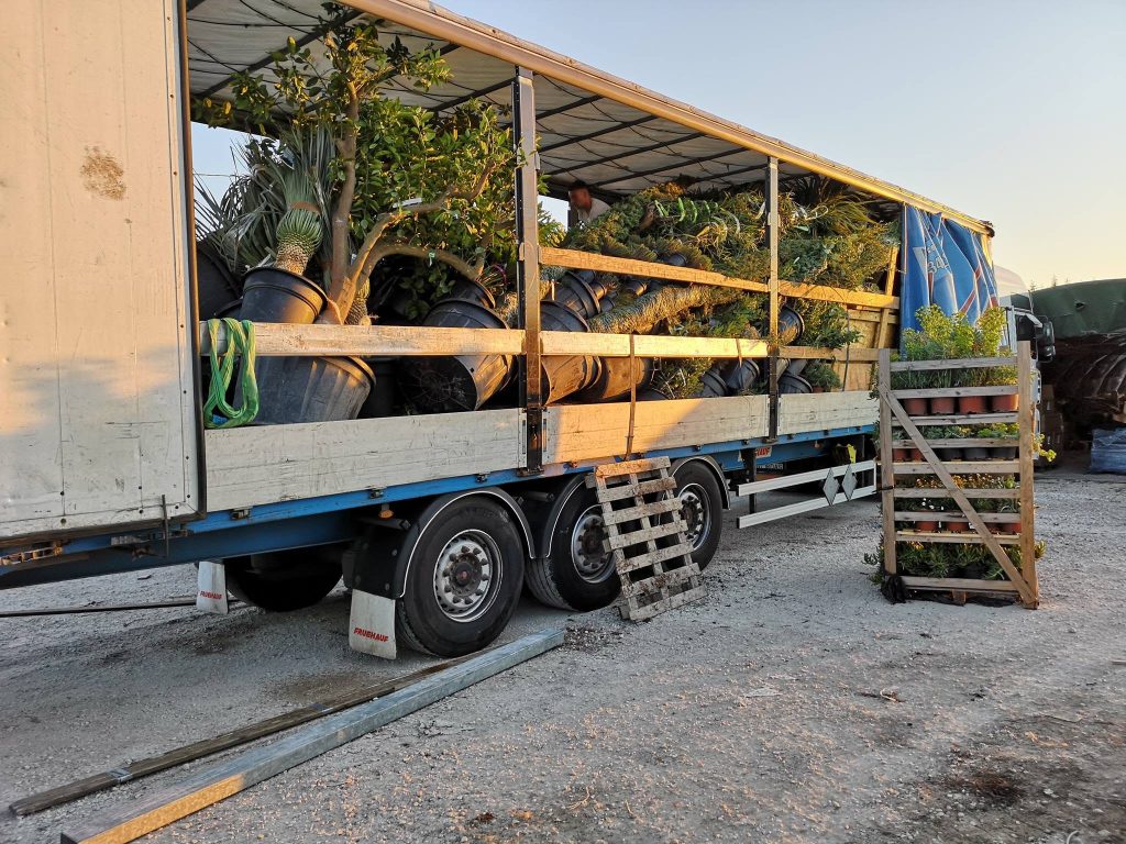 Camion rempli d'arbres en pot pour le jardin