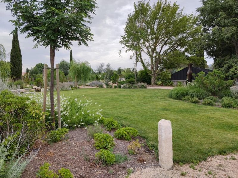 Arbres qui font de l'ombre dans le jardin