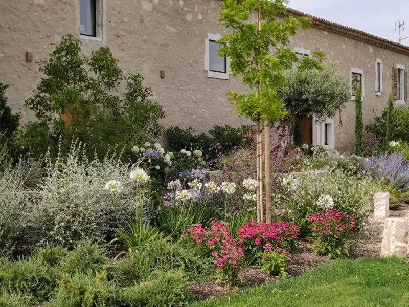 Arbres qui font de l'ombre dans le jardin