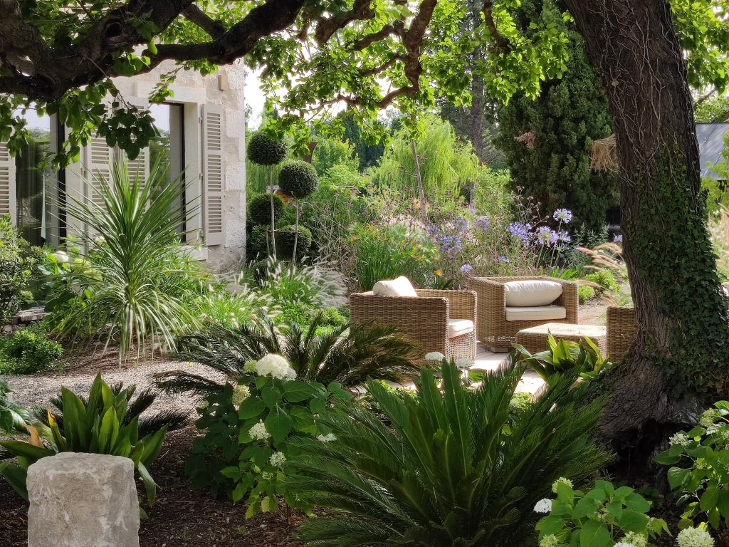 Arbres qui font de l'ombre dans le jardin