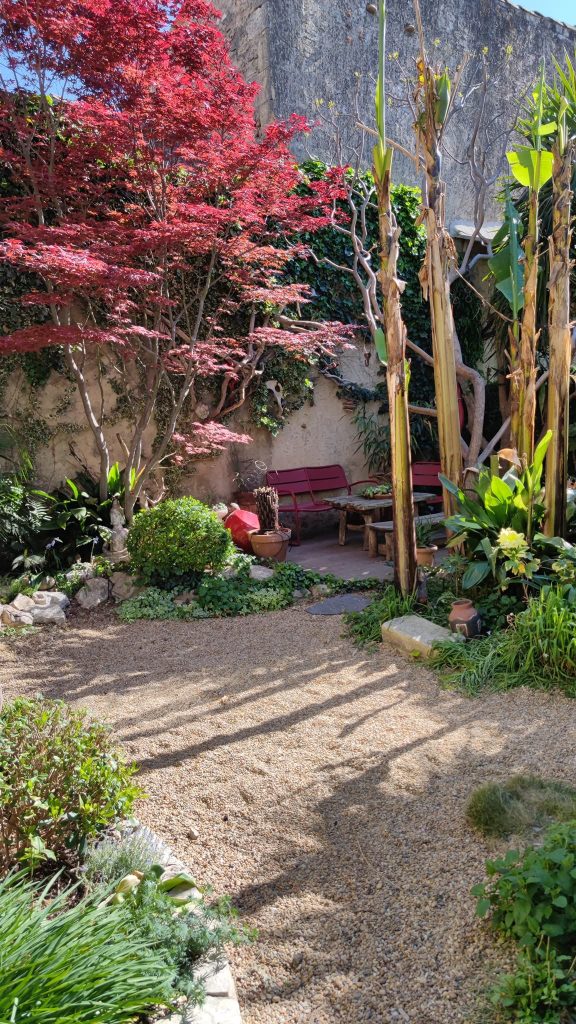 Arbres qui font de l'ombre dans le jardin