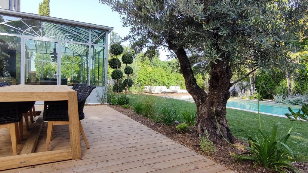Arbre au jardin près d'une terasse