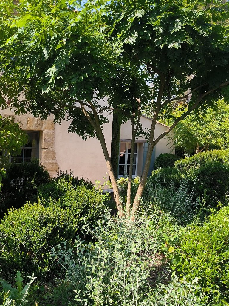 Arbres au jardin devant une maison