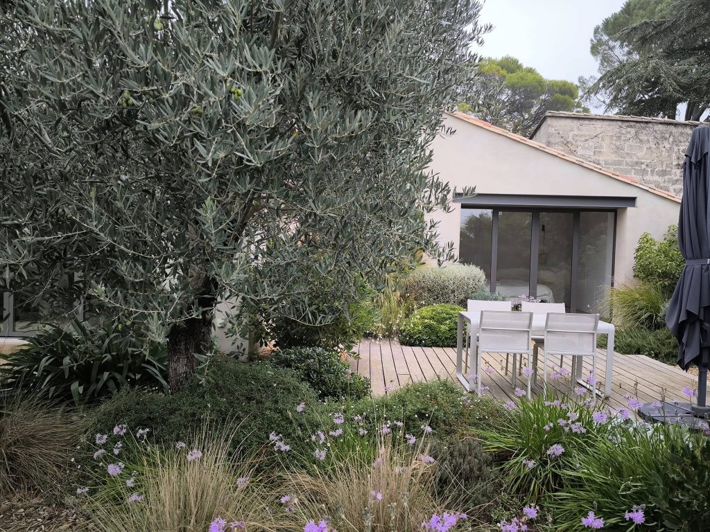 Arbres au jardin près d'une terasse
