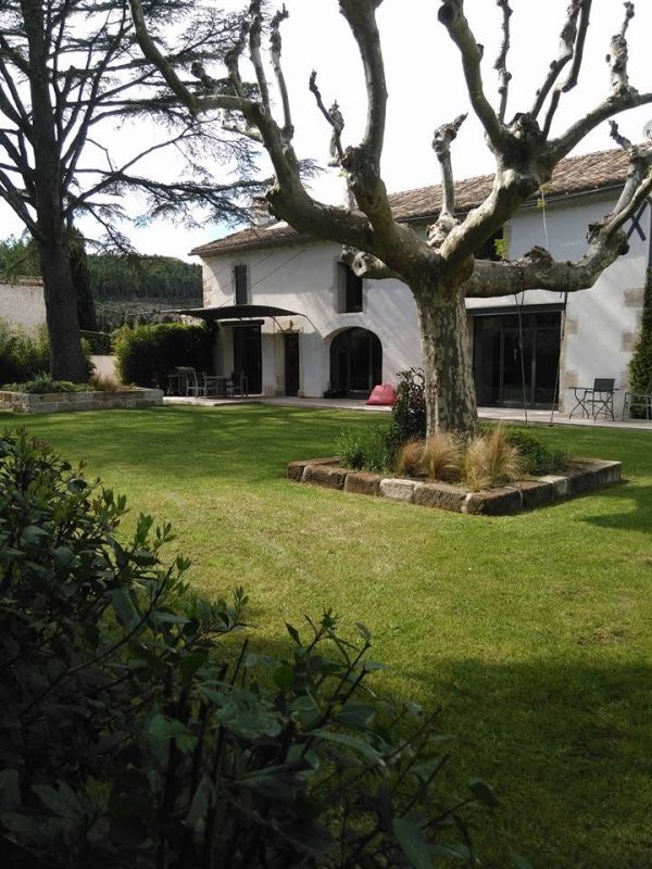 Grand arbre au jardin devant la maison