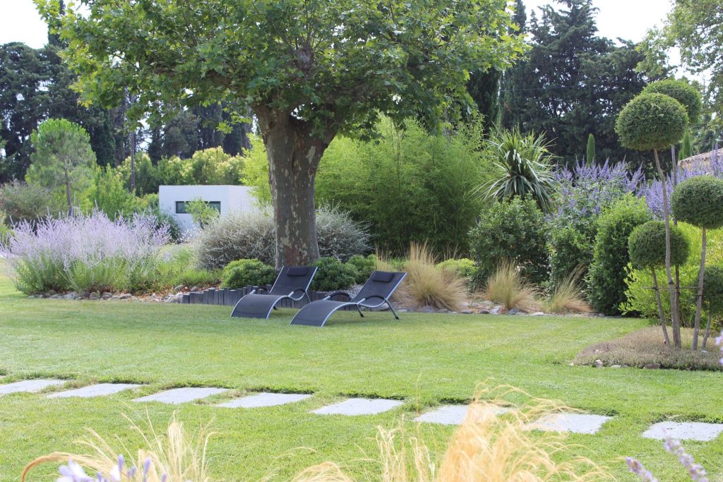 Arbre au jardin qui fait de l'ombre sur les transats