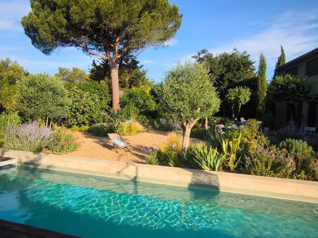 Arbre au jardin près d'une piscine