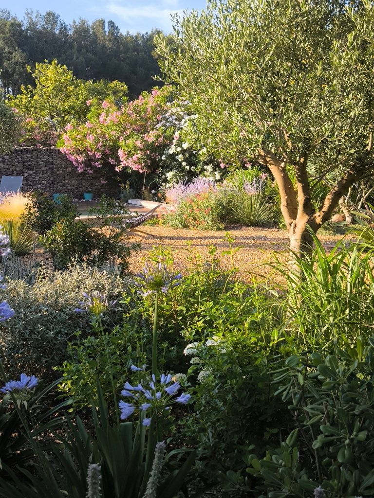 Arbre au jardin qui fait de l'ombre