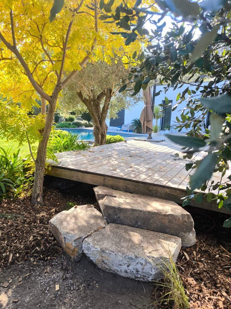 Arbre au jardin près d'une terasse