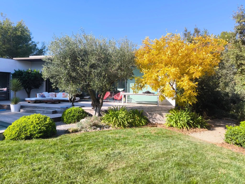 Arbre au jardin près d'une terasse