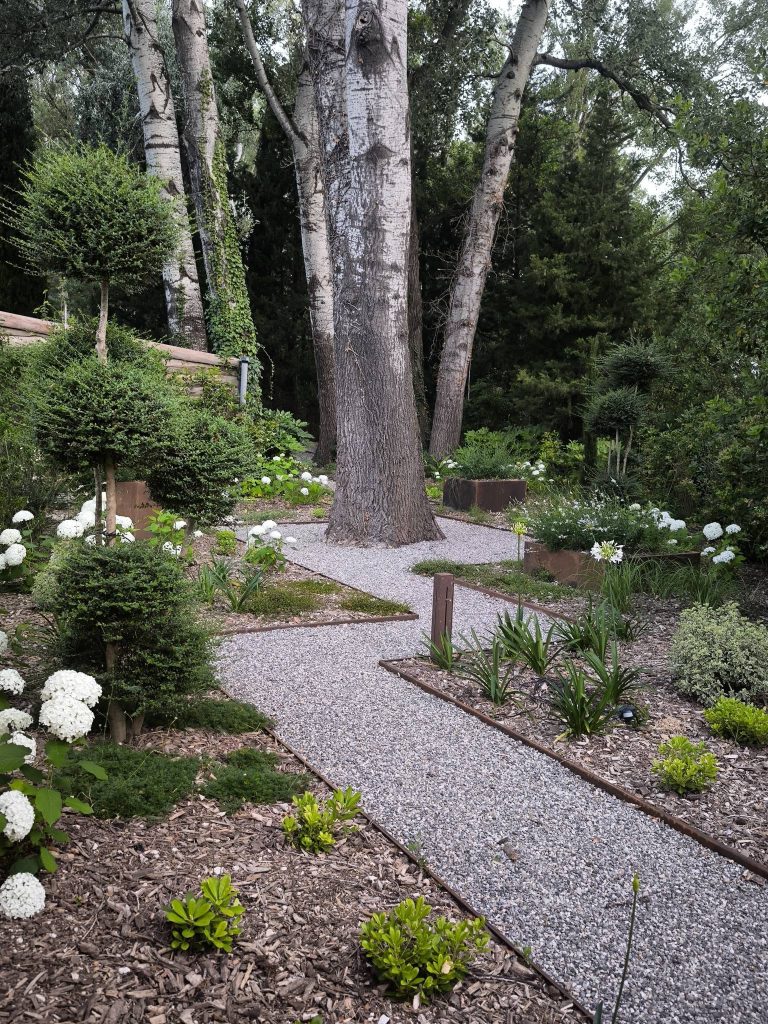 Arbres au jardin qui font de l'ombre sur l'allée
