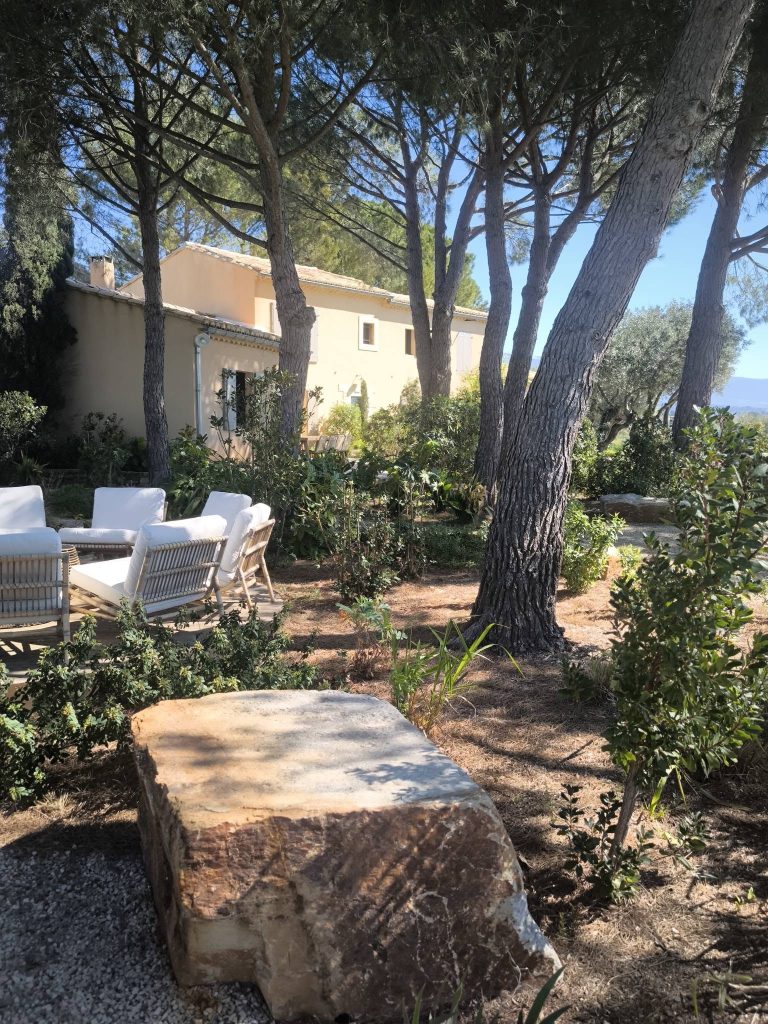 Arbres au jardin près d'une terrasse