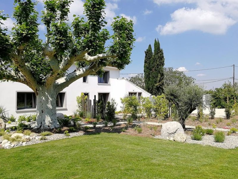 Arbre au jardin devant une maison