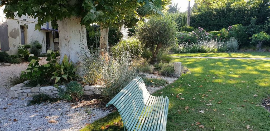 Arbres qui font de l'ombre dans le jardin