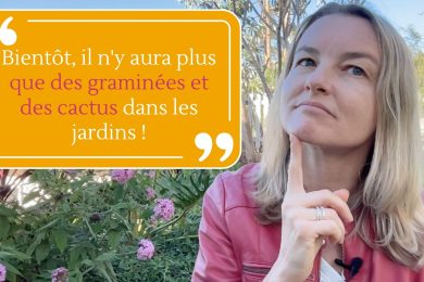 Bientôt, il n'y aura plus que des graminées et des cactus dans les jardins !