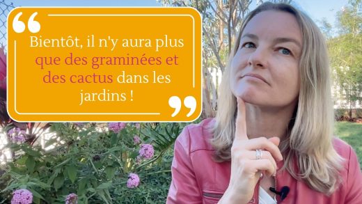 Bientôt, il n'y aura plus que des graminées et des cactus dans les jardins !