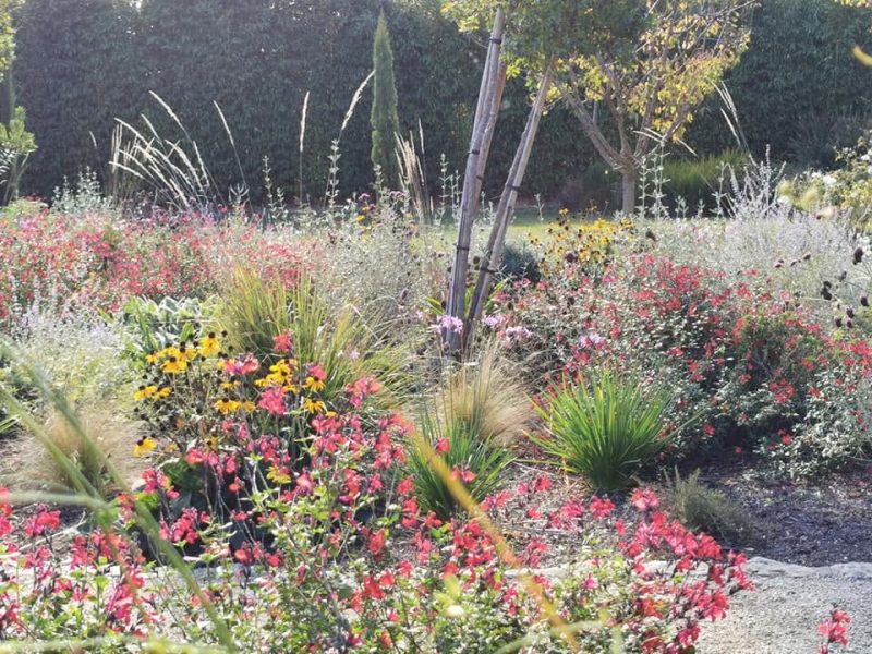 Jardin fleuri