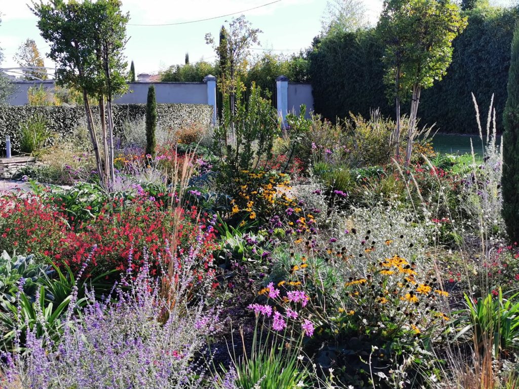 Jardin fleuri