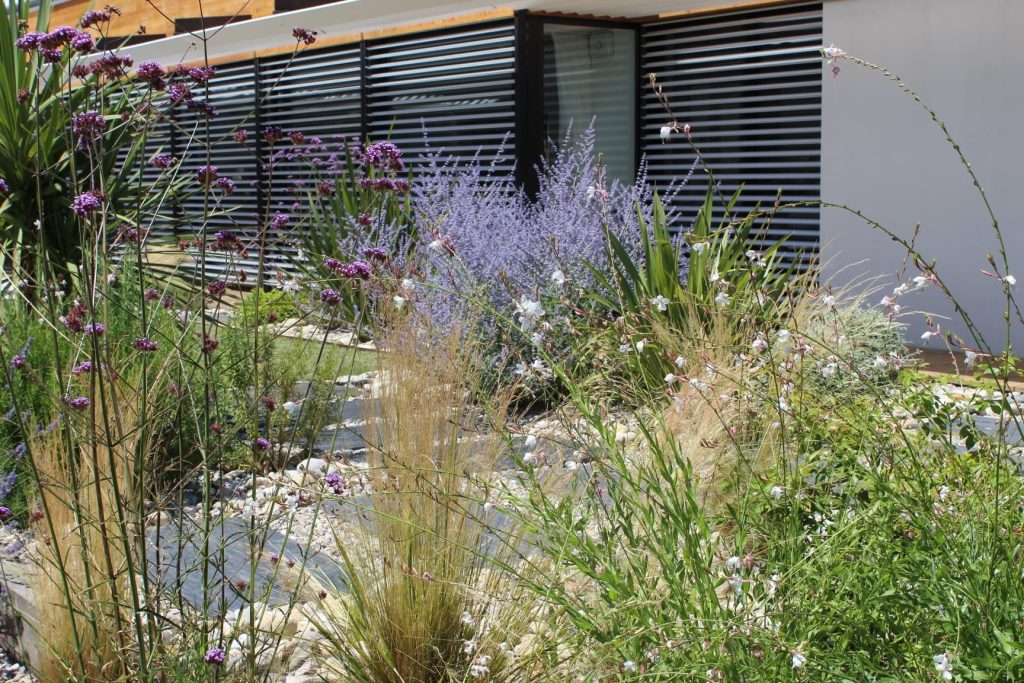 Jardin avec des lavandes graminées