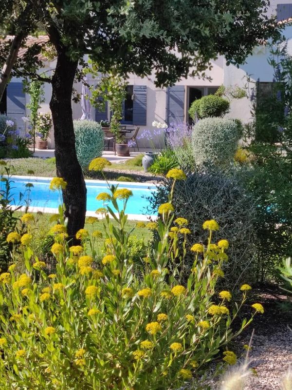 Jardin fleurs jaunes piscine ombragée
