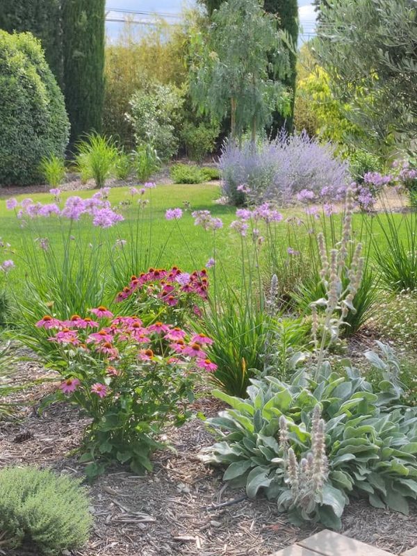 Jardin avec différents types de fleurs