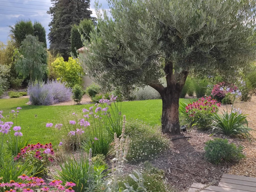 Jardin de fleurs avec un arbre