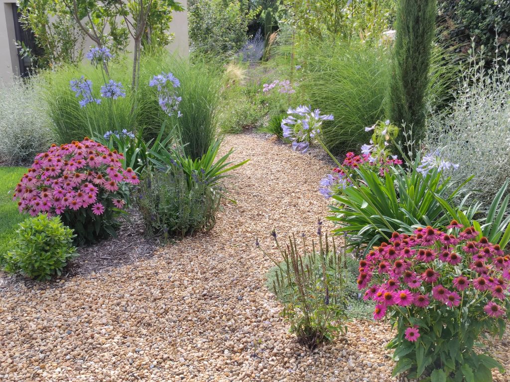 Jardin plein de fleur