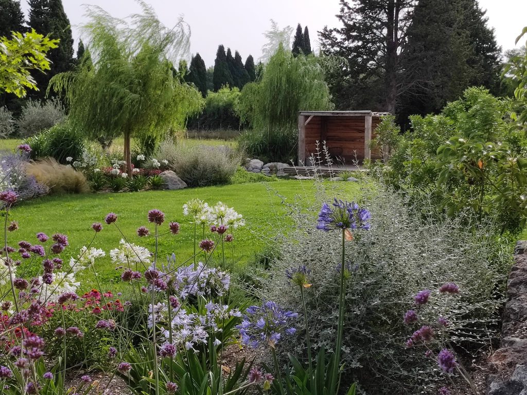 Jardin plein de fleur