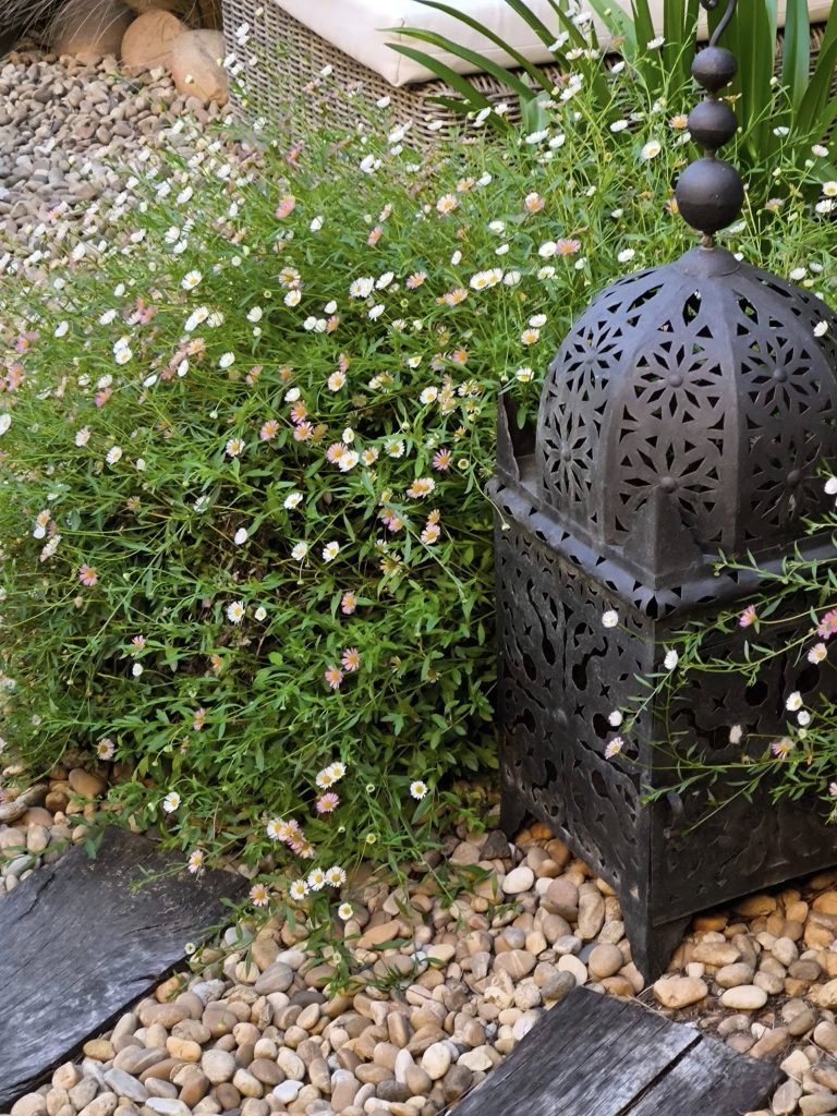 Lanterne caché dans des plantes dans le jardin