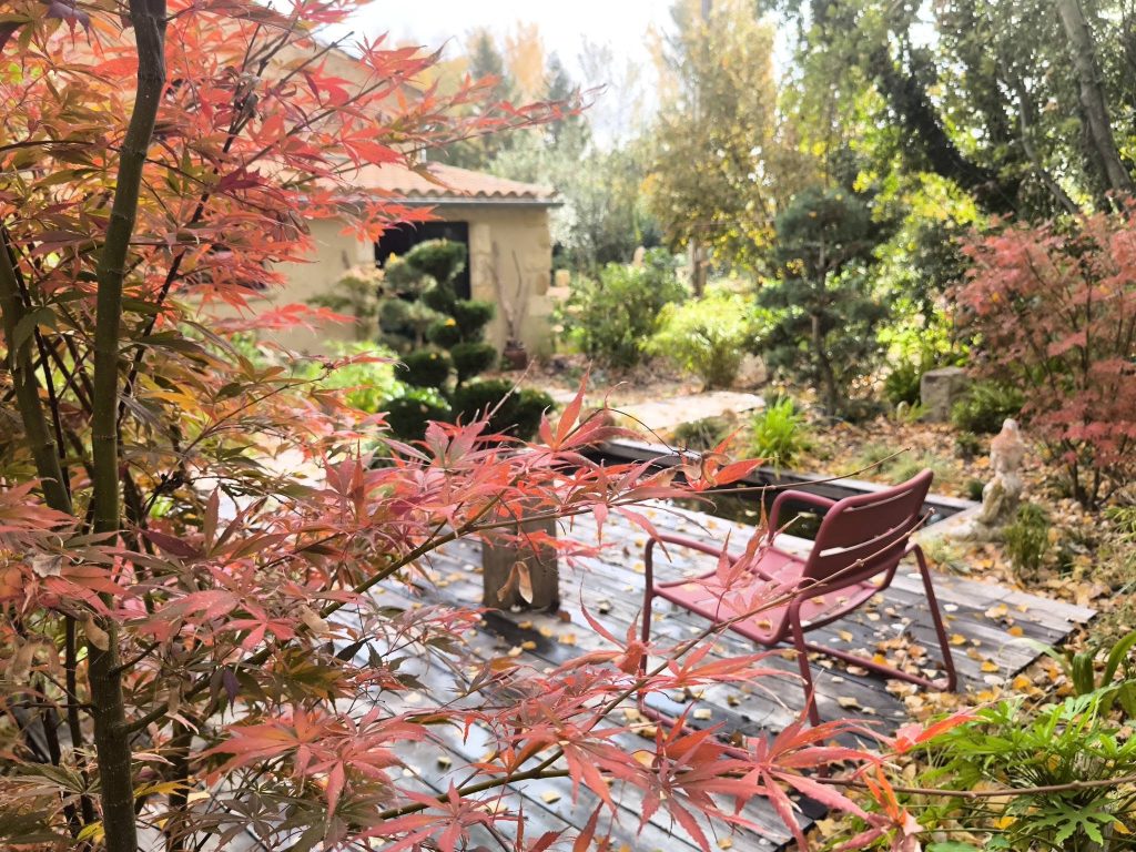 Jardin fleurs érables rouges terrasse