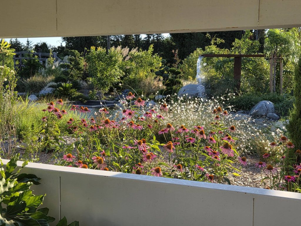 Jardin avec fleurs roses