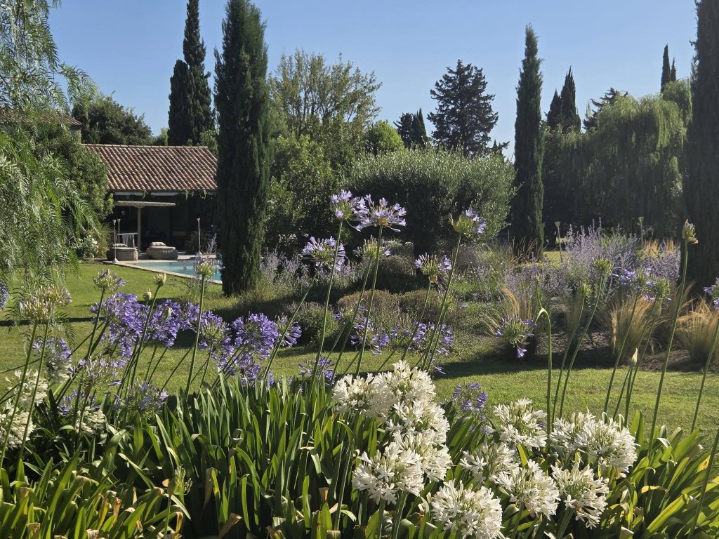 Jardin fleurs iris cyprès pelouse verte