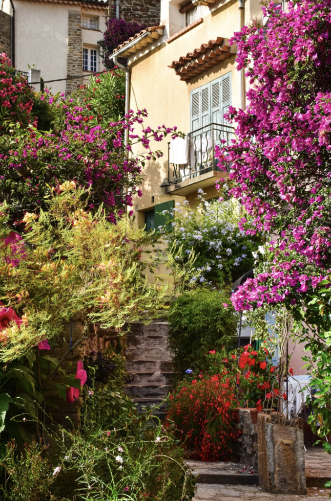 Jardin fleurs colorées sur une terrasse