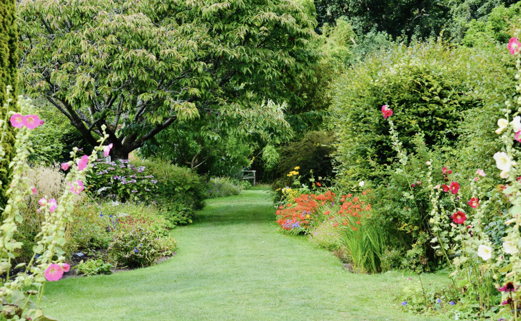 Jardin verdoyant avec des fleurs
