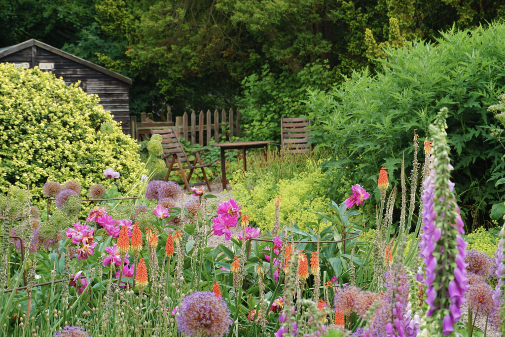 Jardin dont fleurs colorées bordent la clôture
