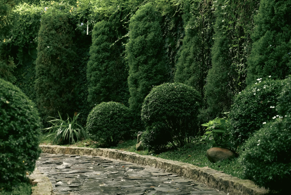 Chemin de pierre avec un Jardin de buis taillés